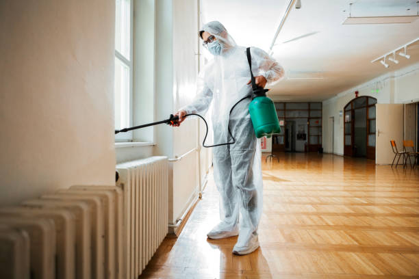 Emergency Pest Control in Rochester, WA